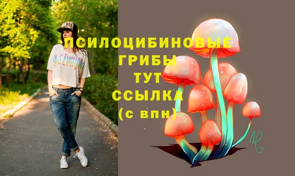 МДПВ Абаза