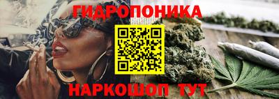 молекула духа Лесосибирск