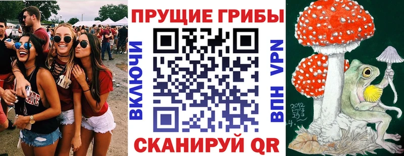 Псилоцибиновые грибы GOLDEN TEACHER  Липецк 