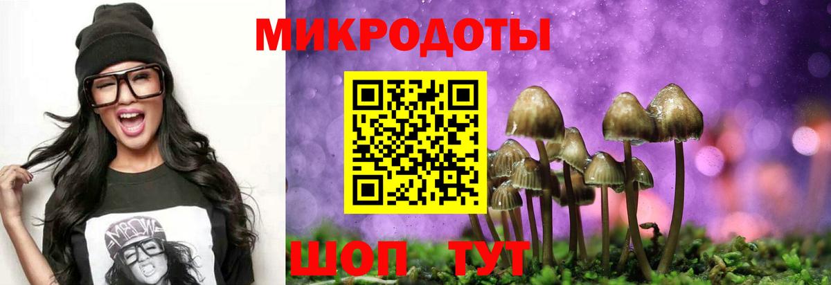 Псилоцибиновые грибы прущие грибы  Галлюциногенные грибы Psilocybe  Липецк  Вход с VPN 